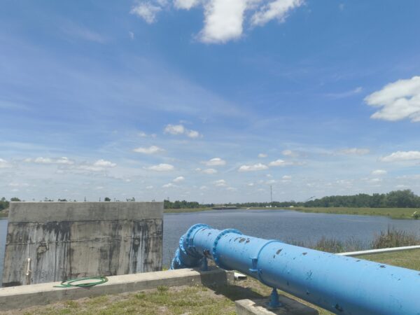 A blue pipe comes out of a large body of water.