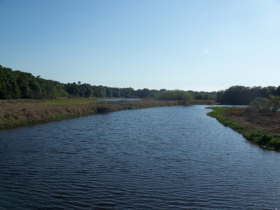 960px-Myakka_River_SP_river02